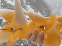 -黑龙潭风景区