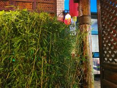 -慢丽江·云南野生菌土鸡锅(付家庄店)
