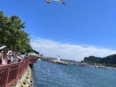 -大连老虎滩海洋公园