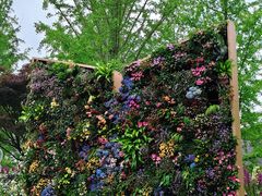 -武汉园博园(武汉自然博物馆)