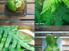 -国家植物园南园