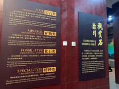 -烟台自然博物馆