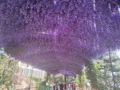 -沂蒙山旅游区云蒙景区(蒙山国家森林公园)