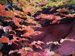 -大连市第二十四中学