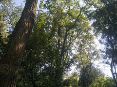 -迎泽公园