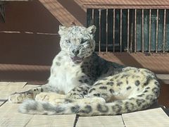 -青藏高原野生动物园