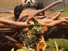 -香港海洋公园