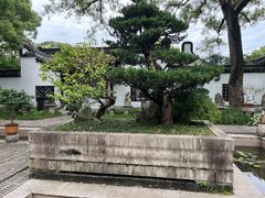 -上海醉白池公园
