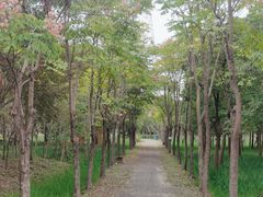-嘉北郊野公园