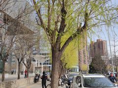 -新荟城(望京店)
