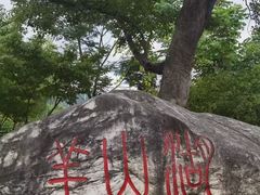 -羊山湖公园