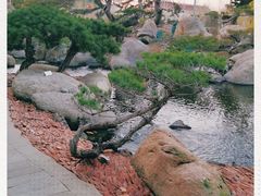 -罗红摄影艺术馆