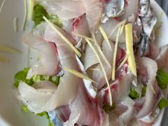 -鸽鸟轩(石岐店)