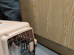 -爱佳宠物中心医院24H·CT·骨外科·猫专科(瑶海万达店)