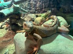 -海合安天津极地海洋公园