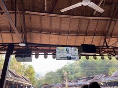 -野象谷景区