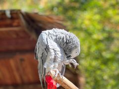 -云南野生动物园