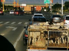 -敦煌莫高国际机场