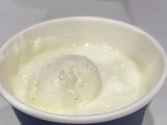 -西琳姑娘·新疆冰淇淋酸奶茶(南开大悦城店)