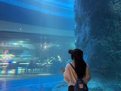 -新加坡飞禽公园