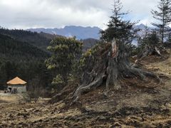 -硗碛藏寨·神木垒景区