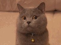 -V8潮牌·接发烫染连锁