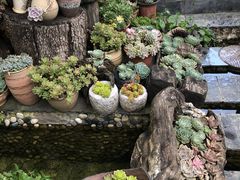 -炊烟餐厅
