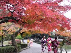 -水前寺成趣园