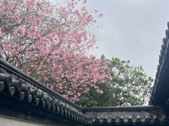 -常熟方塔园