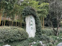 -十八棵（老龙井）御茶园(老龙井店)