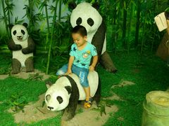 android_upload_pic-南昌动物园