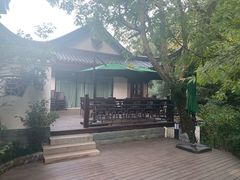 -十八棵（老龙井）御茶园(老龙井店)