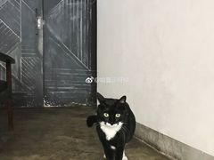 -研途咖啡馆(健康路店)