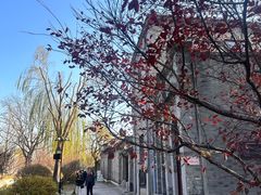-春风习习