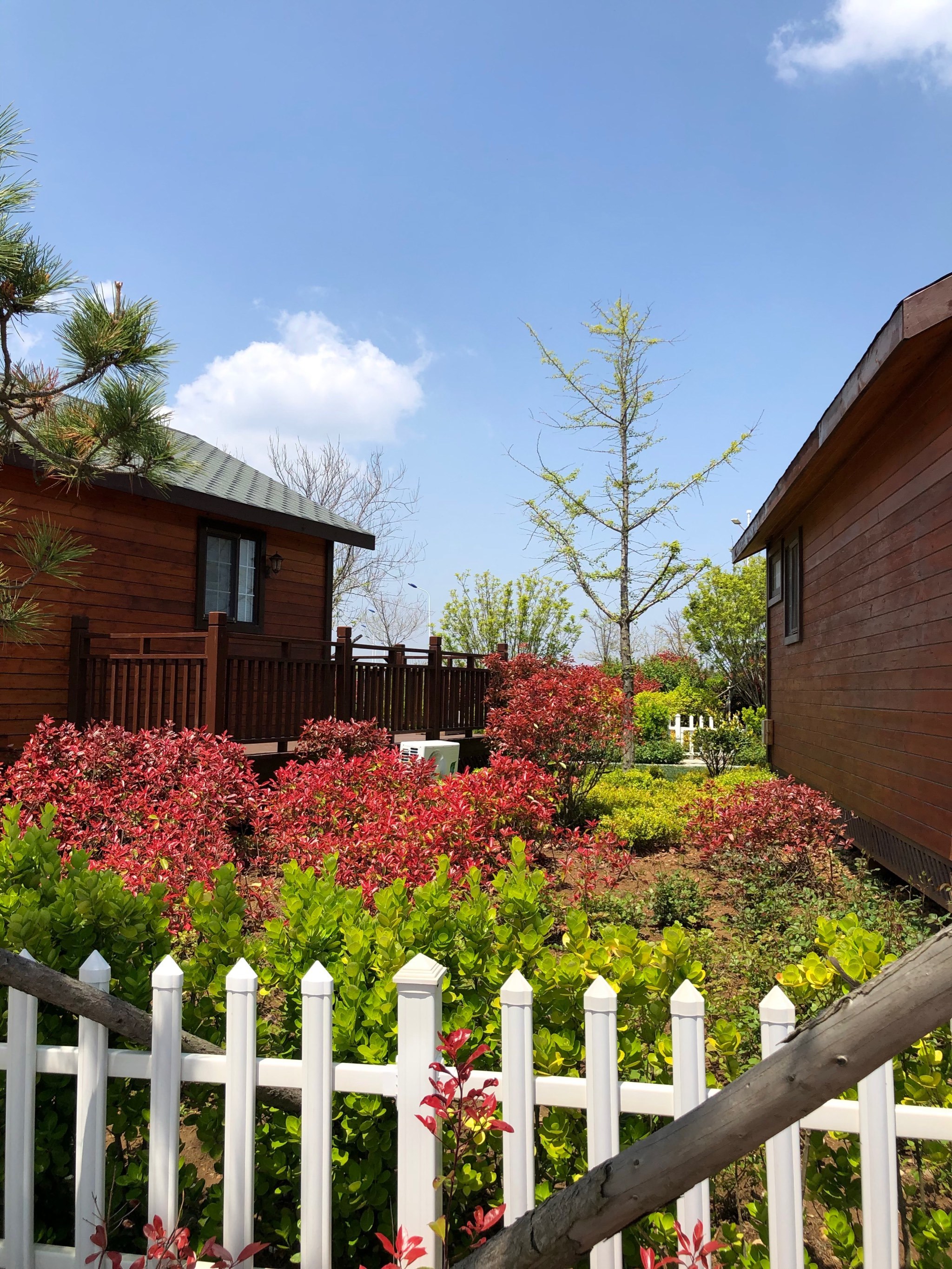 这里应该是荣成市俚岛镇最美的地方了,几乎