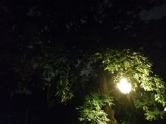 -江墅铁路遗址公园