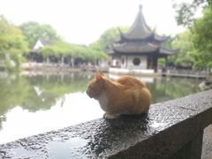 -西园寺素食(西园弄戒幢律寺店)