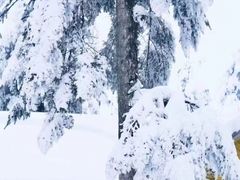 -瓦屋山景区