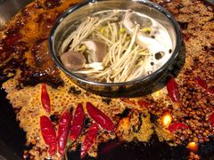 -巴国九王爷火锅(万盛总店)
