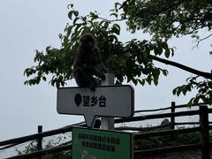 -峨眉山风景名胜区