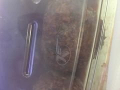 -杜六房(大沽路店)