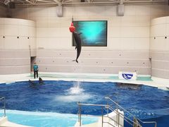 -鹿儿岛水族馆