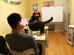 -猫音日语留学培训