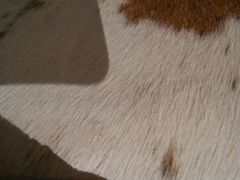 -金牛山大酒店(南北湖风景区店)