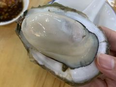 原只蒸生蚝-蚝得喜海鲜(东城店)