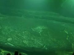 -白鹤梁水下博物馆