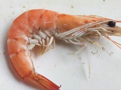 -正亮农家院·海鲜本地菜