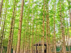 -南京金牛湖风景区