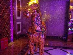 -奥斯汀KTV(金湖店)