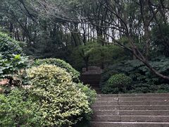 -杭州半山国家森林公园